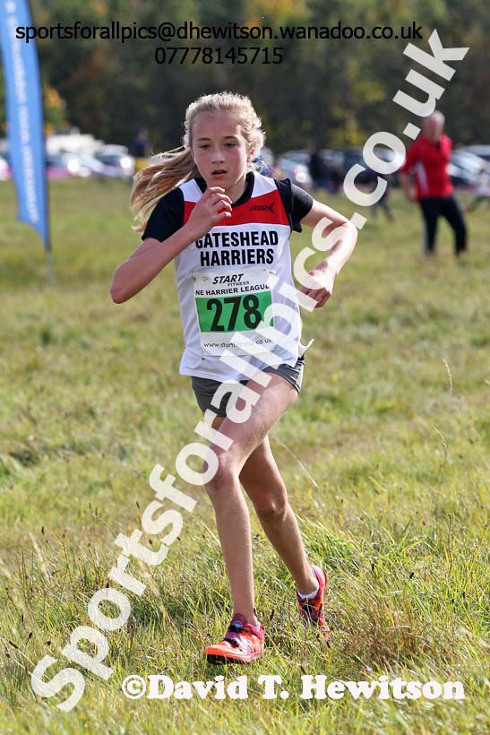 Girls under-13s, North East Harrier League, Cramlington. Photo: David T. Hewitson/Sports for All Pics